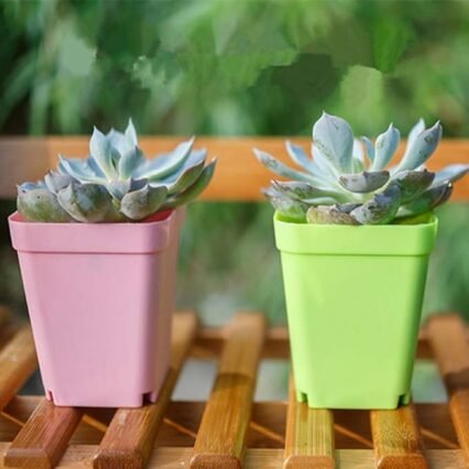 24 Pack Colorful Flower Pots Square Plastic Plant Pots Succulent Planter Nursery Pots with Saucers for Your Room,Garden Office and Balcony Decor