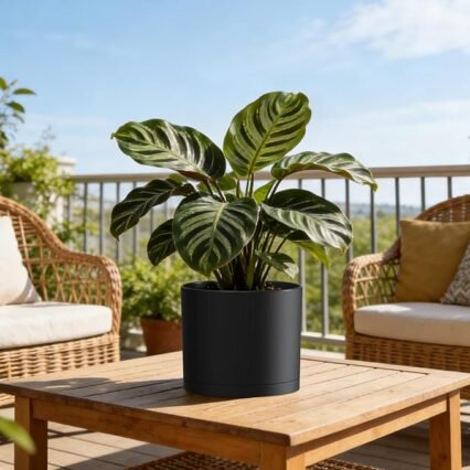 Plant Pots, 10/9/8 Inch 3 Pack Cylindrical Flower Pots with Drainage Holes and Saucers, Plastic Planters for Outdoor Indoor Plants,Black