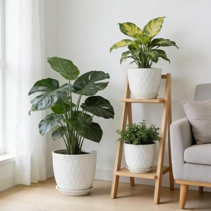 Plant Pots 10/9/8/7.5/7 Inch Plant Pots, Set of 5 Plastic Planters with Drainage Holes and Saucers,Plastic Flower Pots,Nursery Planting Pot for Indoor Out Door Plants (White)