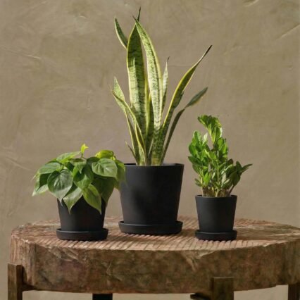 Plant Pots Indoor with Drainage Holes- Set of 3 Pots for Plants(5.8/6.7/7.9Inch) Plastic Flower Pot Planters for Indoor Outdoor Plants Garden Pots for Room & Office Décor Black