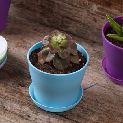 10 Pcs Plastic Planters Indoor Pots with Pallet | Mini Flower Seedlings Nursery Pot, Modern Decorative Gardening Containers
