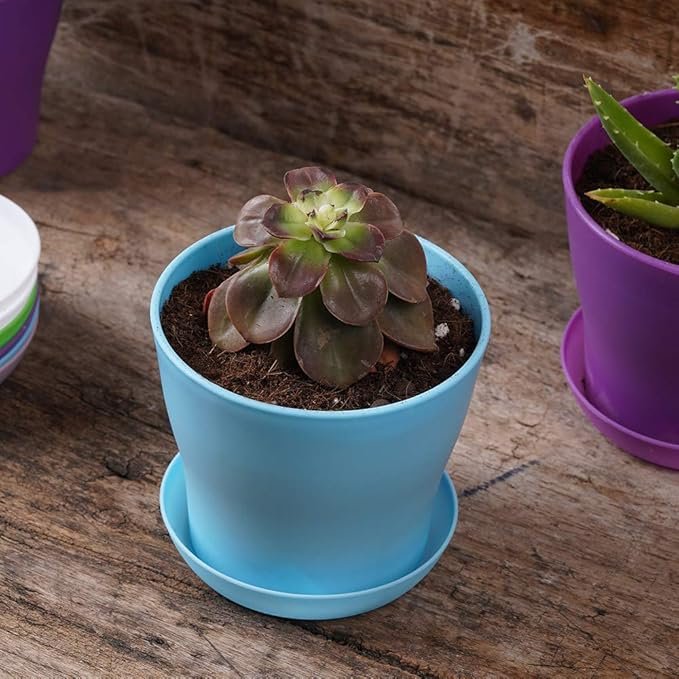 10 Pcs Plastic Planters Indoor Pots with Pallet | Mini Flower Seedlings Nursery Pot, Modern Decorative Gardening Containers
