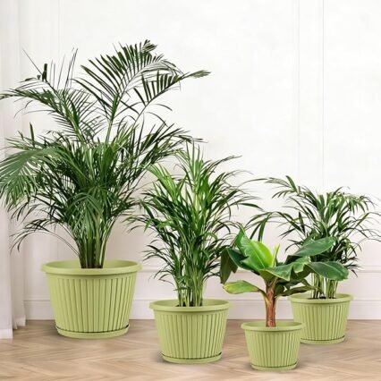 10-inch-Planters-for-Outdoor-Plant，Plastic Indoor Flower Pots with Drainage Holes & Saucer，4 Packs Decorative Garden Pots for Plant for Home Porch Decor